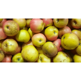 Pommes BIO Idared 1 kg