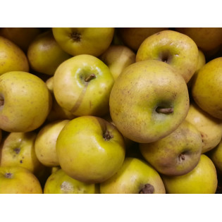 Pommes BIO Belchard Chanteclerc 1 kg