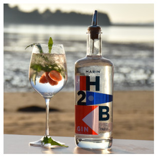 Gin H2B, Distillerie du Golfe, Plougoumelen, Vannes, Morbihan, Bretagne